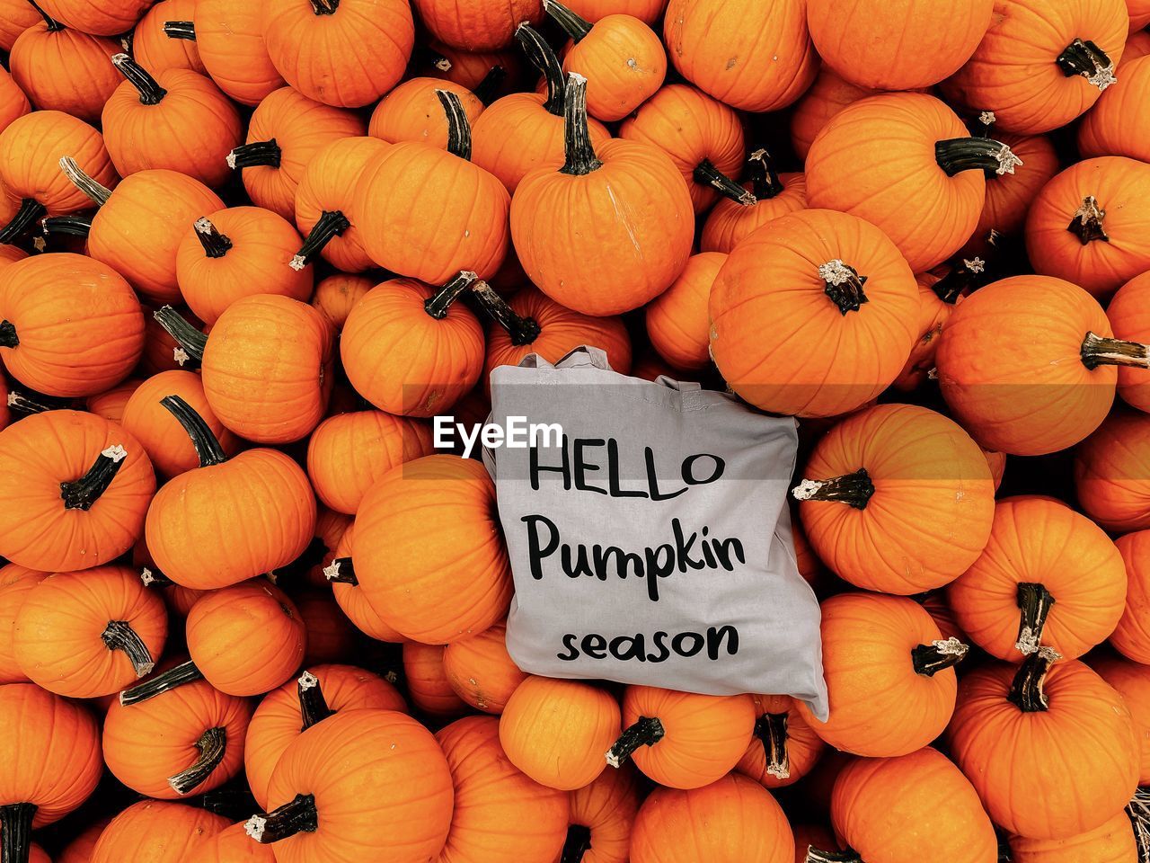 HIGH ANGLE VIEW OF PUMPKINS FOR SALE AT MARKET