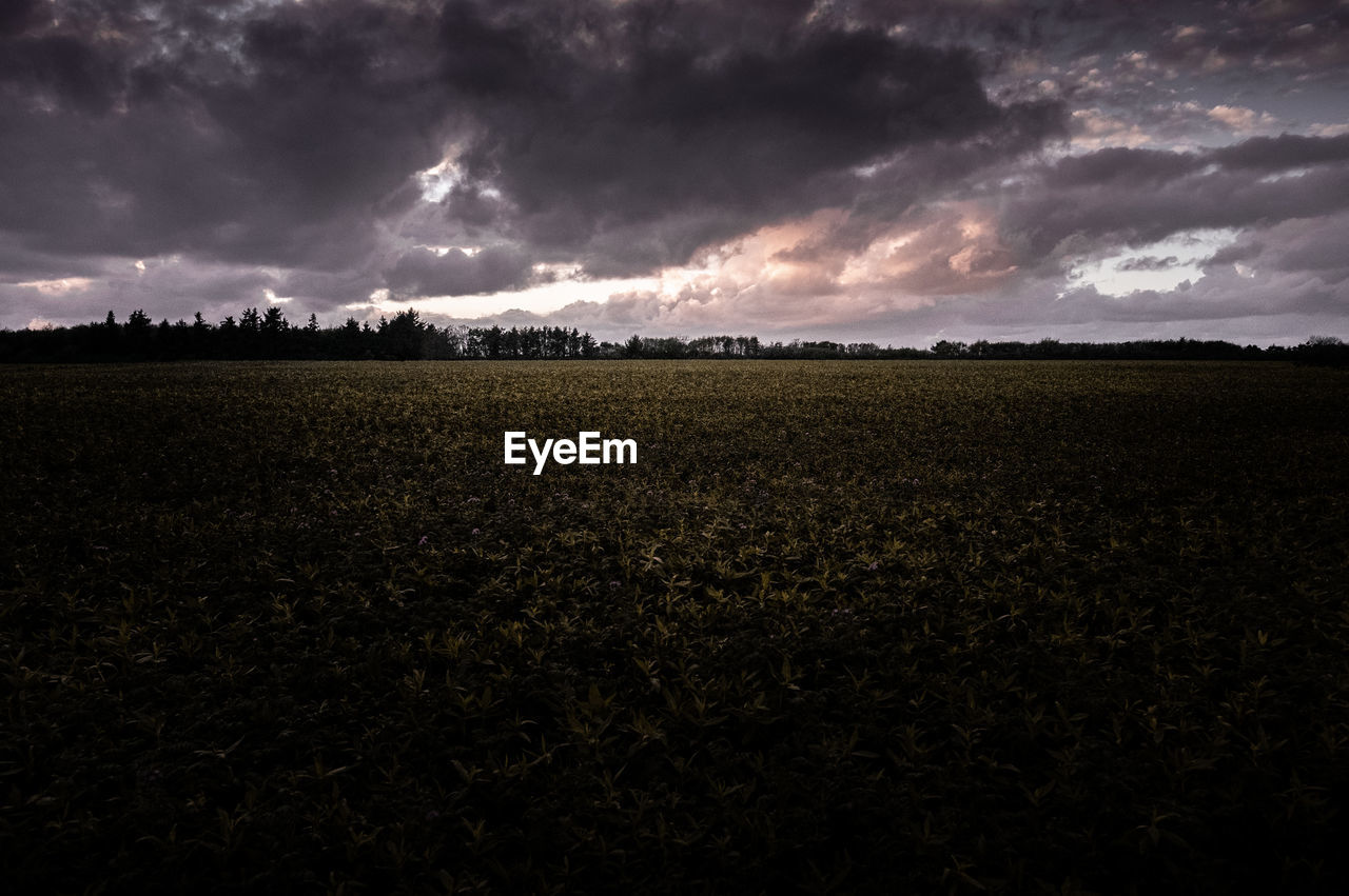 Scenic view of field against sky during sunset