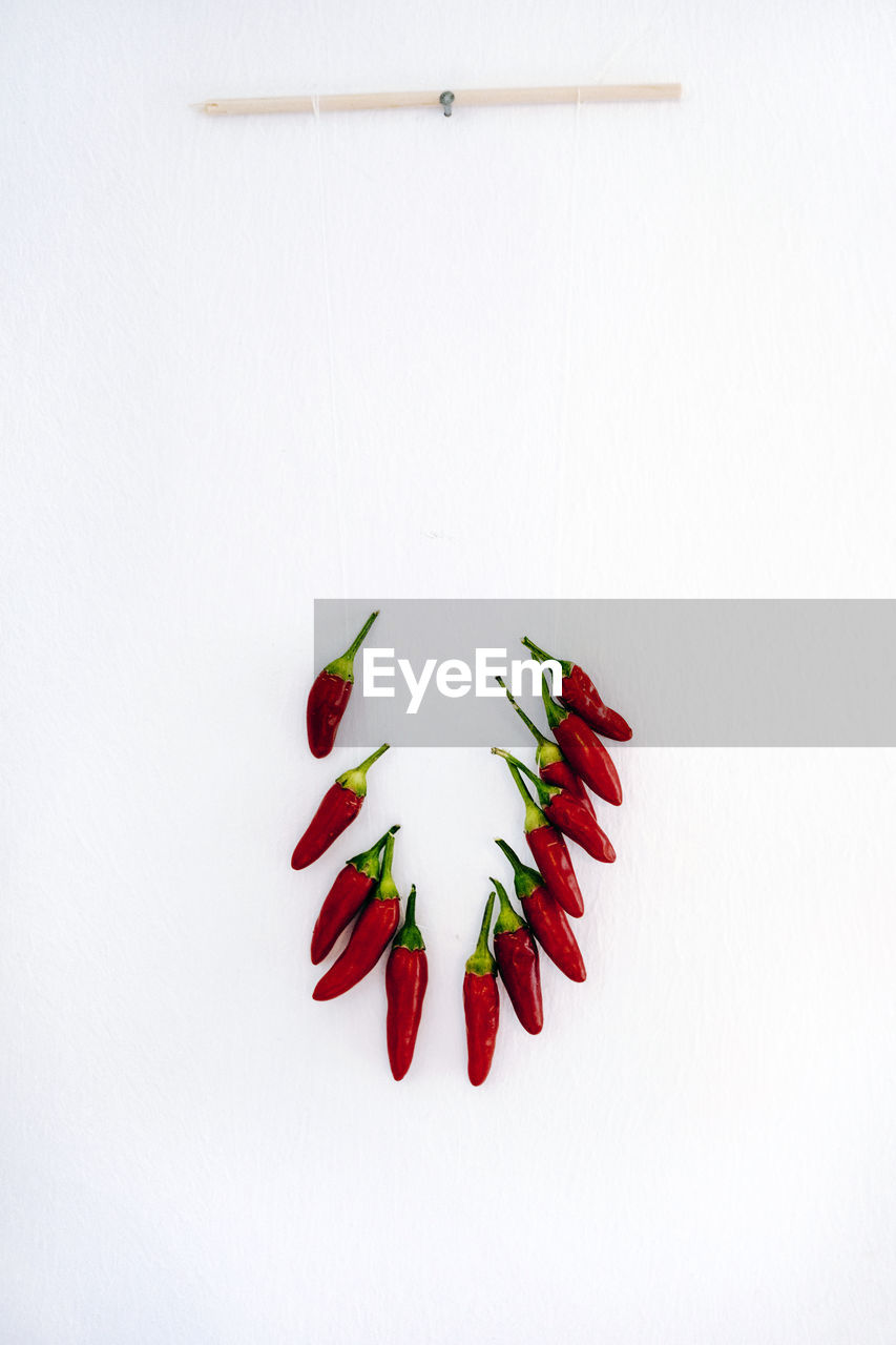 CLOSE-UP OF RED CHILI PEPPER ON WHITE BACKGROUND