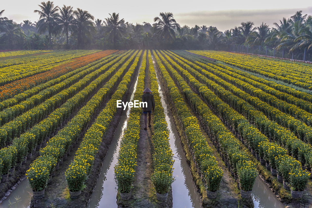 SCENIC VIEW OF FARM FIELD