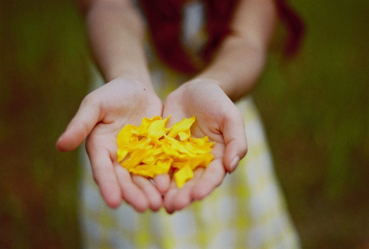 Midsection of woman holding yellow flower petals