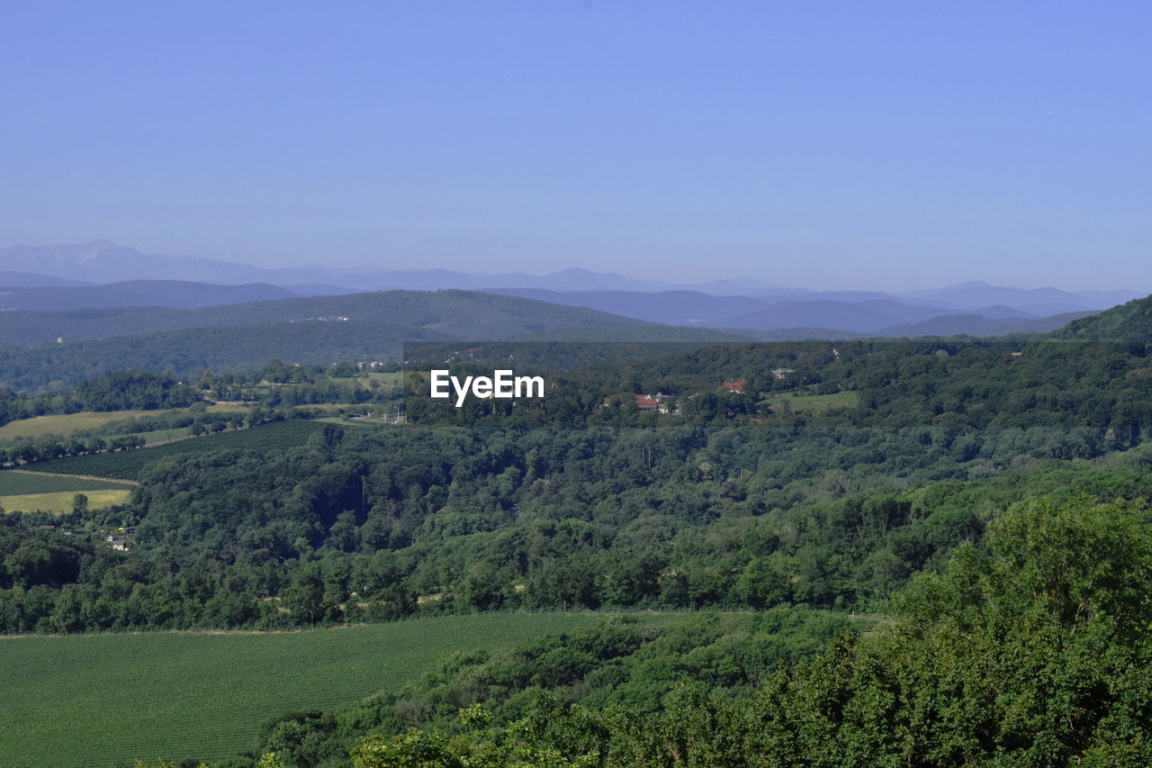 SCENIC VIEW OF LAND AGAINST CLEAR SKY