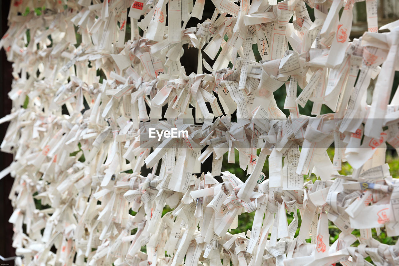 Close-up of wishes in rows