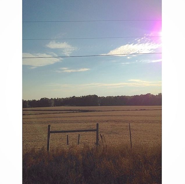 SCENIC VIEW OF RURAL LANDSCAPE