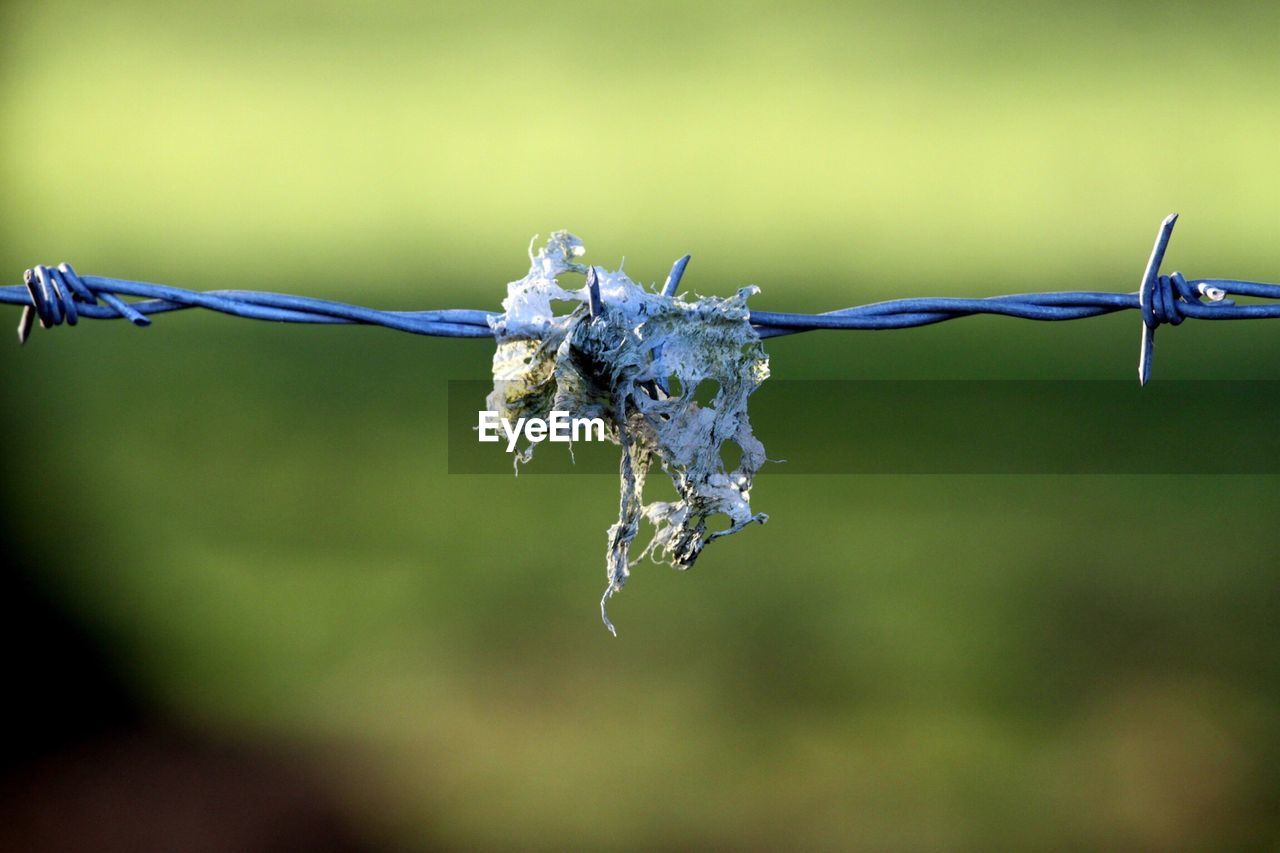 Close-up of fabric on barbed wire