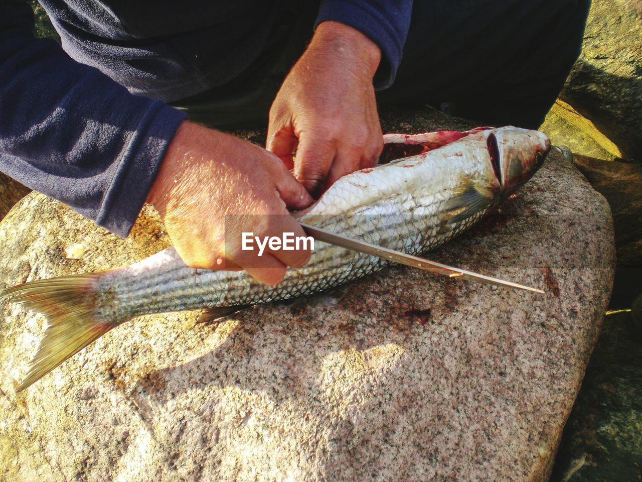 Midsection of man slicing fish on rock