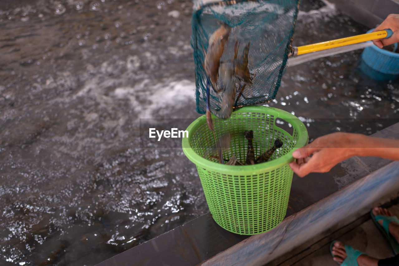 Low section of person catching fish in lake