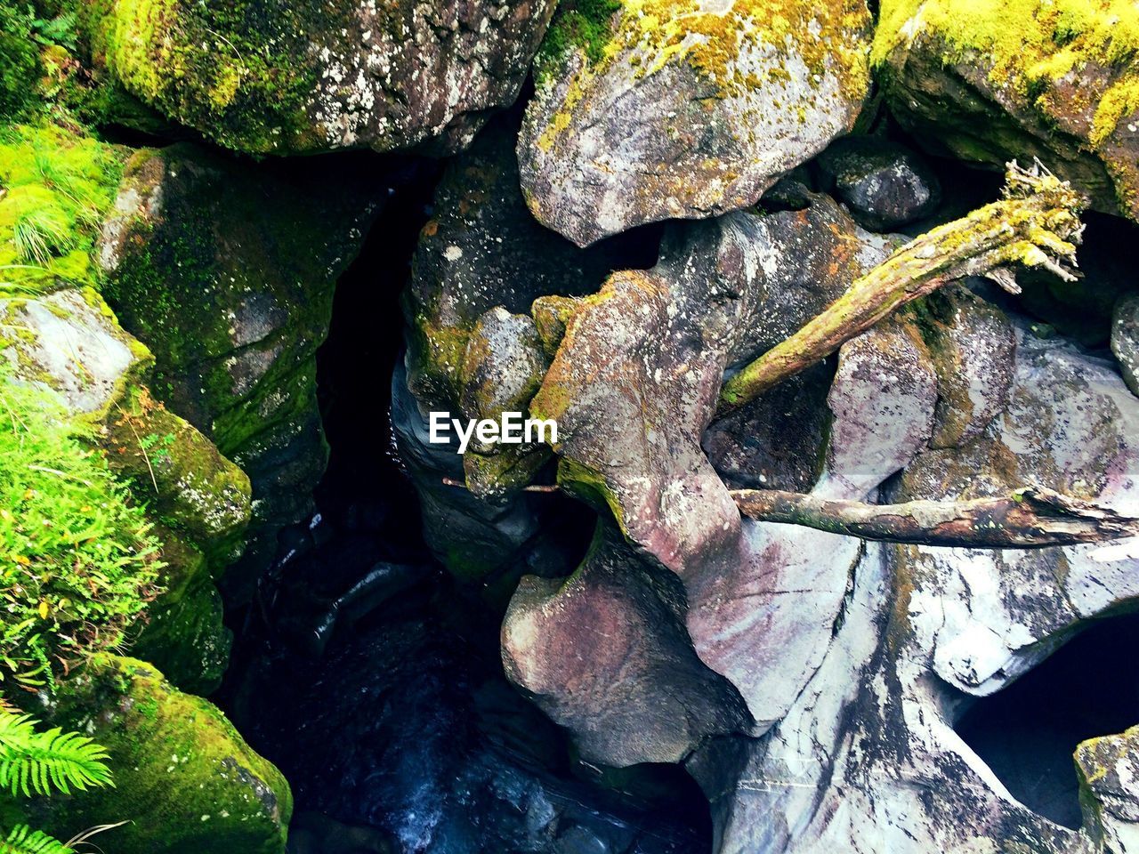 CLOSE-UP OF CRAB ON WATER