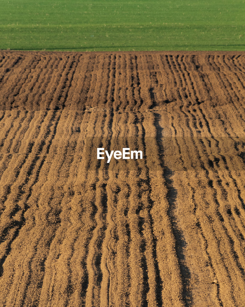 High angle view of tire tracks on field