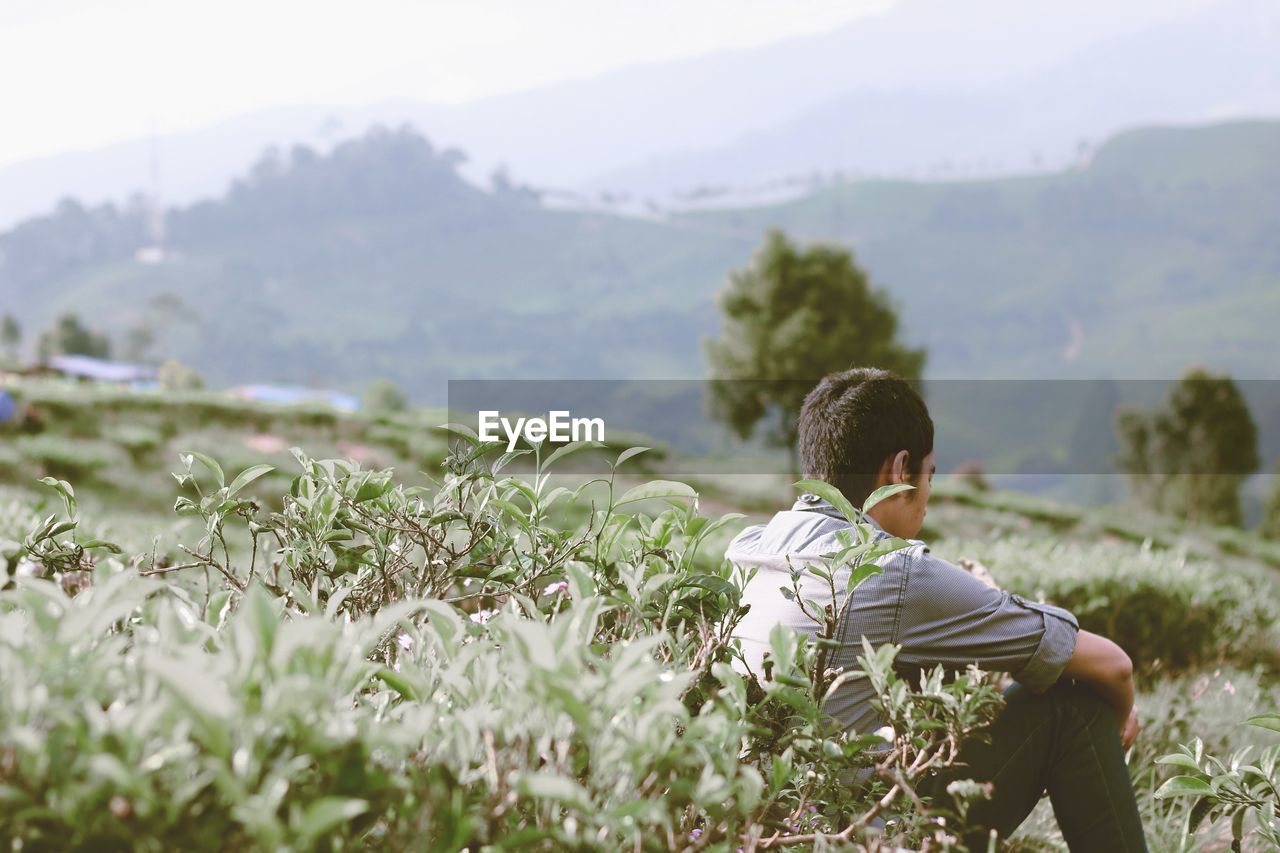 Rear view of man sitting by plants 