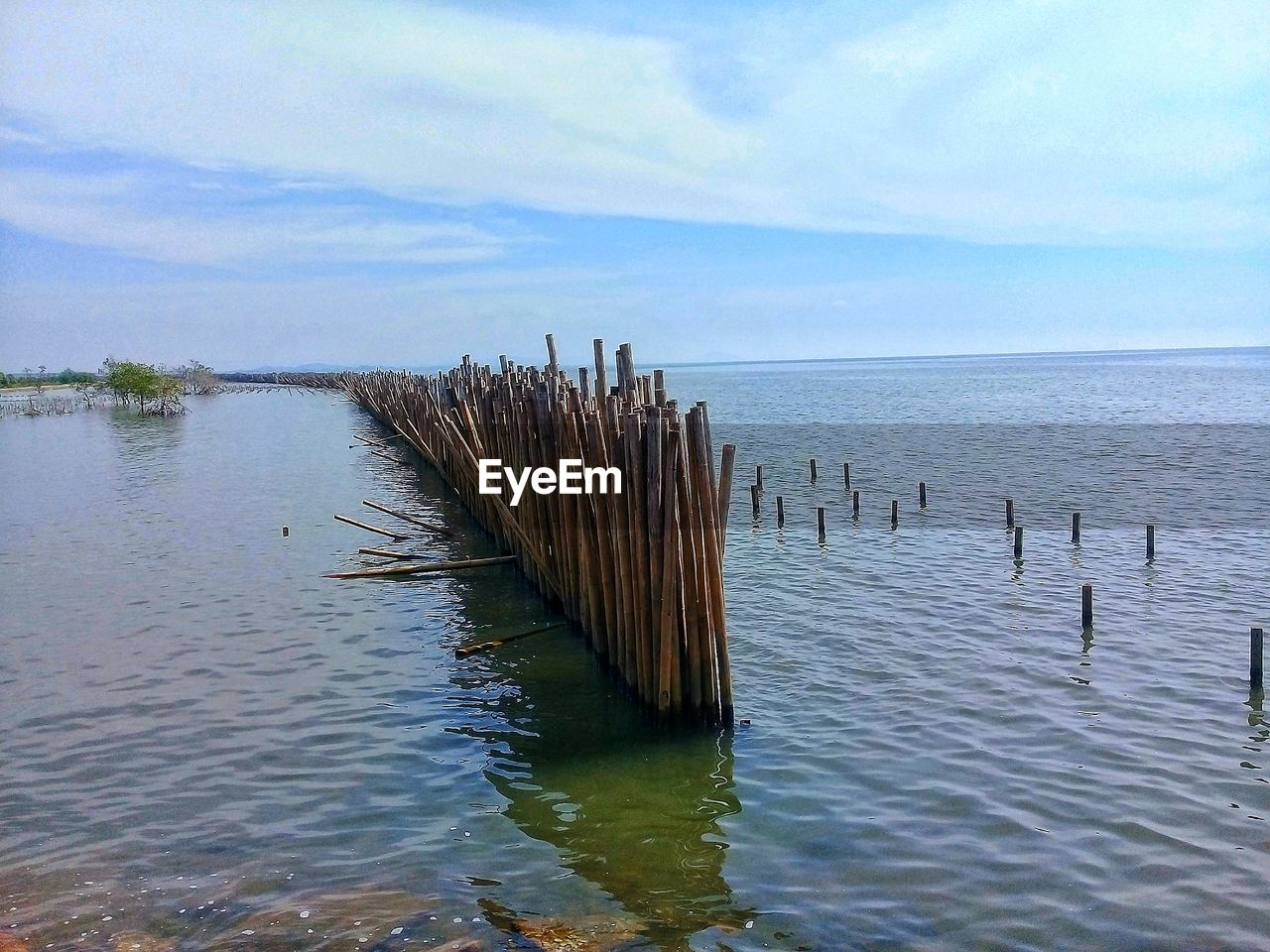 WOODEN POSTS IN SEA