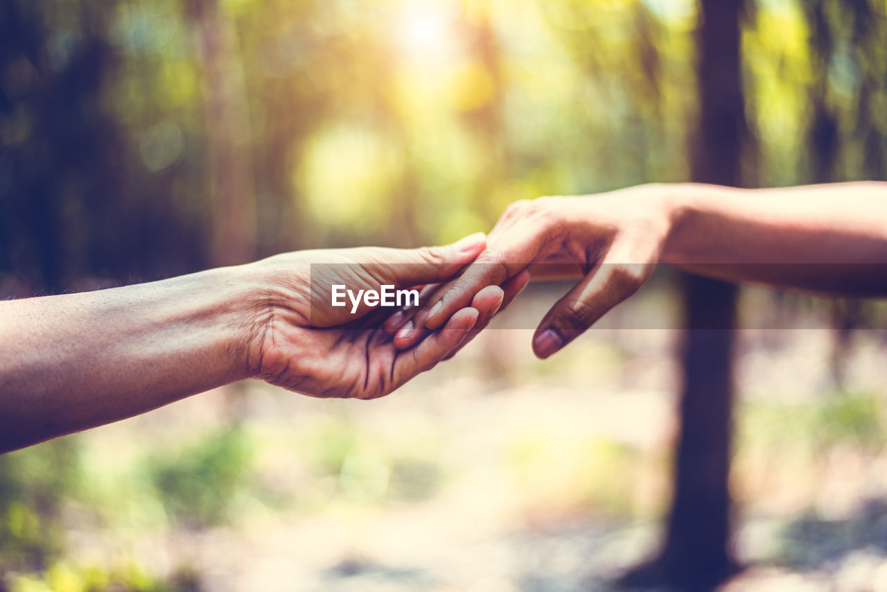 Close-up of couple holding hands