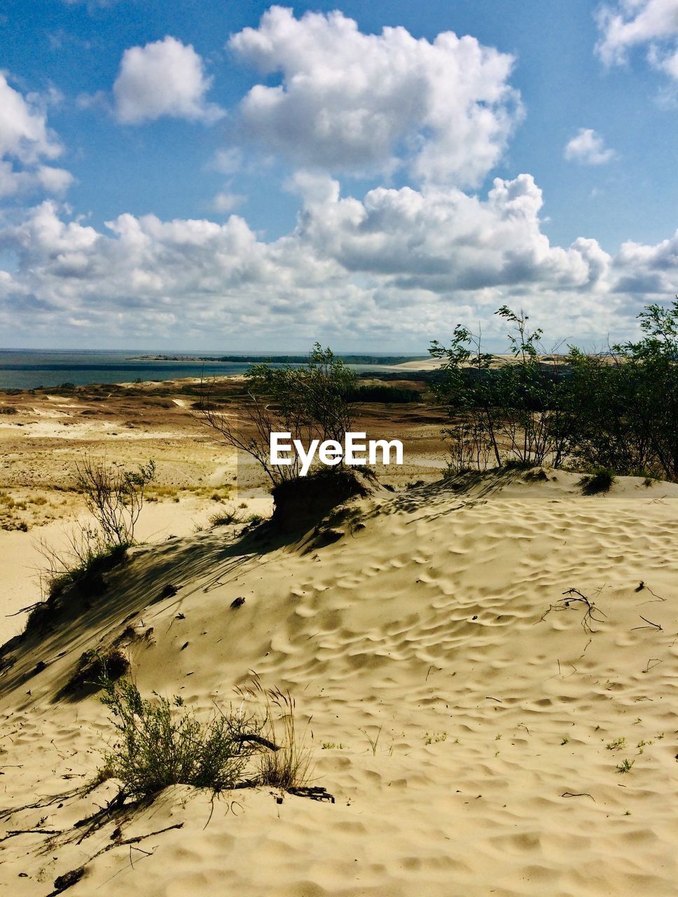 PANORAMIC VIEW OF BEACH AGAINST SKY