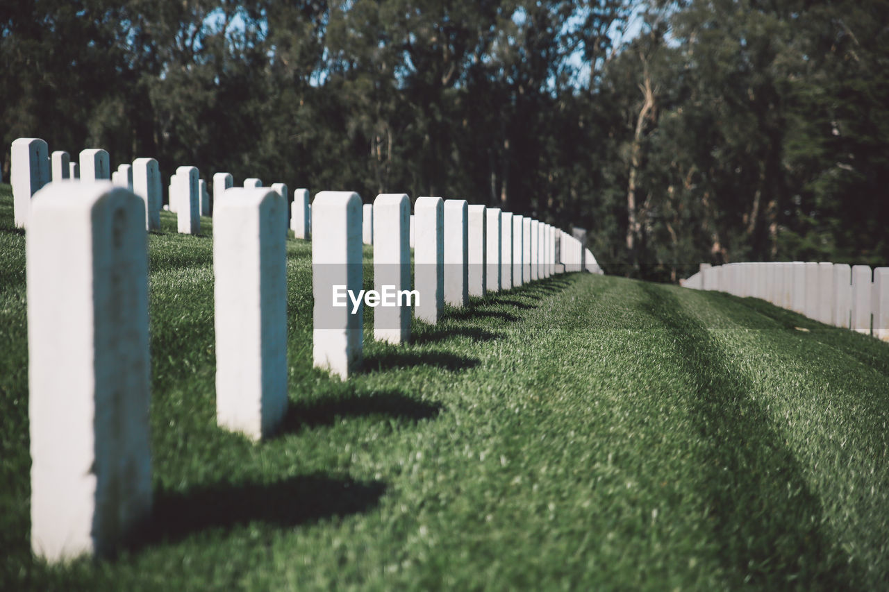 Tombstones in cemetery