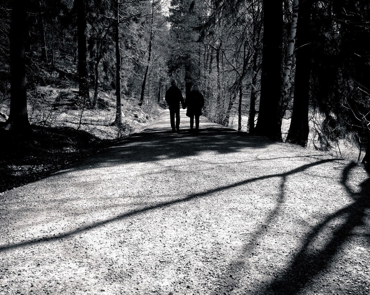 Silhouettes of couple walking along park alley