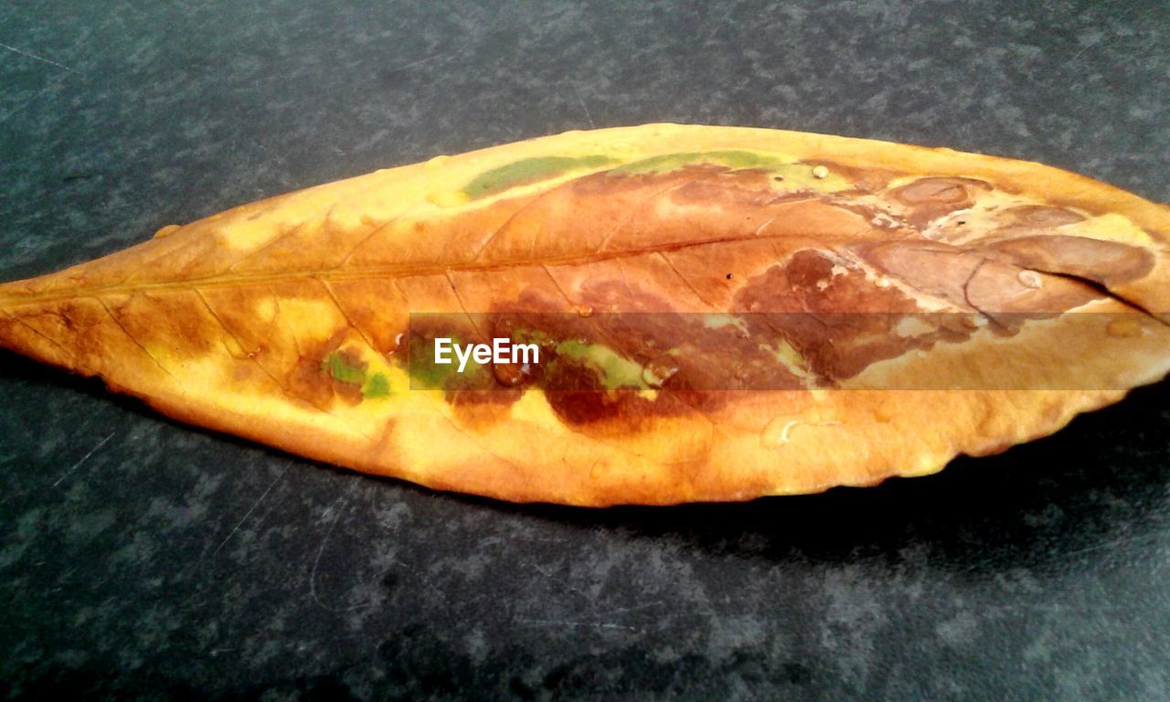 CLOSE-UP OF FOOD ON TABLE