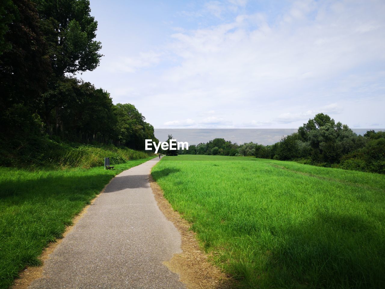 ROAD AMIDST TREES AND GRASS AGAINST SKY