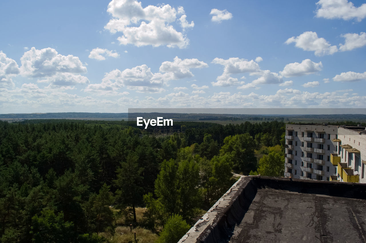 SCENIC VIEW OF TREE AND BUILDING AGAINST SKY