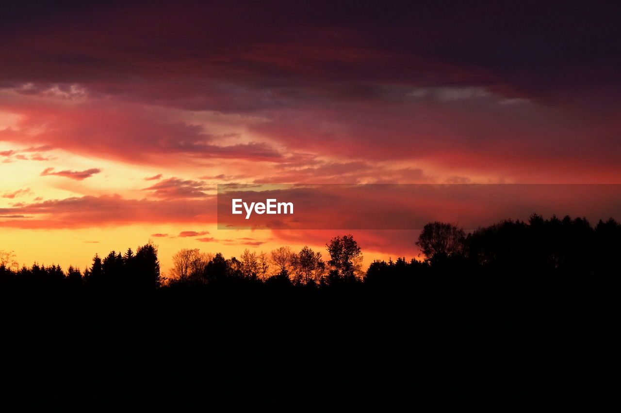 SILHOUETTE TREES AGAINST SKY DURING SUNSET