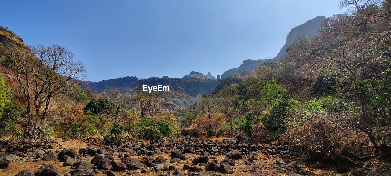 wilderness, environment, landscape, mountain, land, nature, scenics - nature, tree, sky, plant, valley, rock, beauty in nature, natural environment, no people, travel, travel destinations, forest, outdoors, panoramic, tranquility, plateau, non-urban scene, tourism, mountain range, adventure, wadi, tranquil scene, autumn, walking, geology, animal wildlife, ridge, day, social issues, water