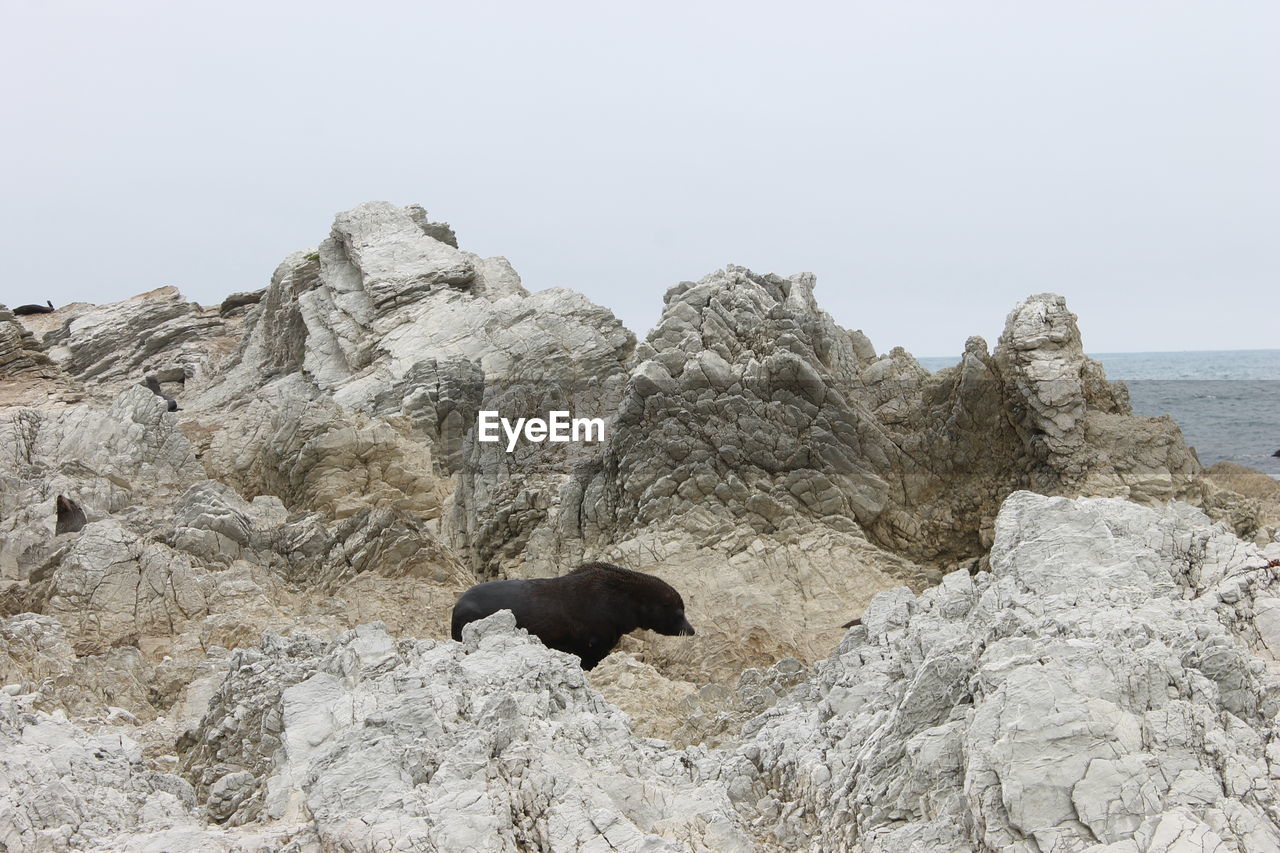 Rock formation in sea against clear sky