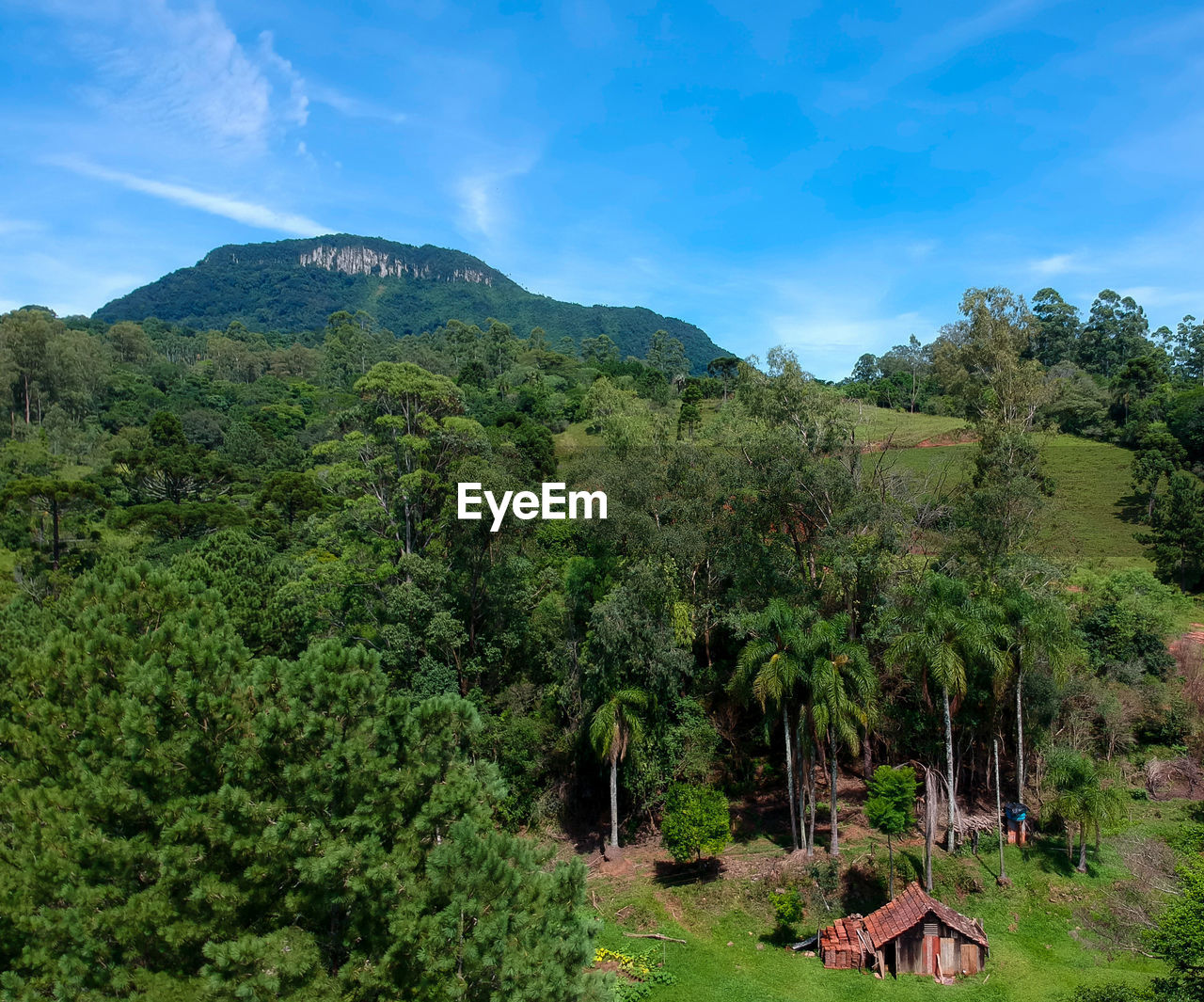 Scenic view of trees and mountains against sky