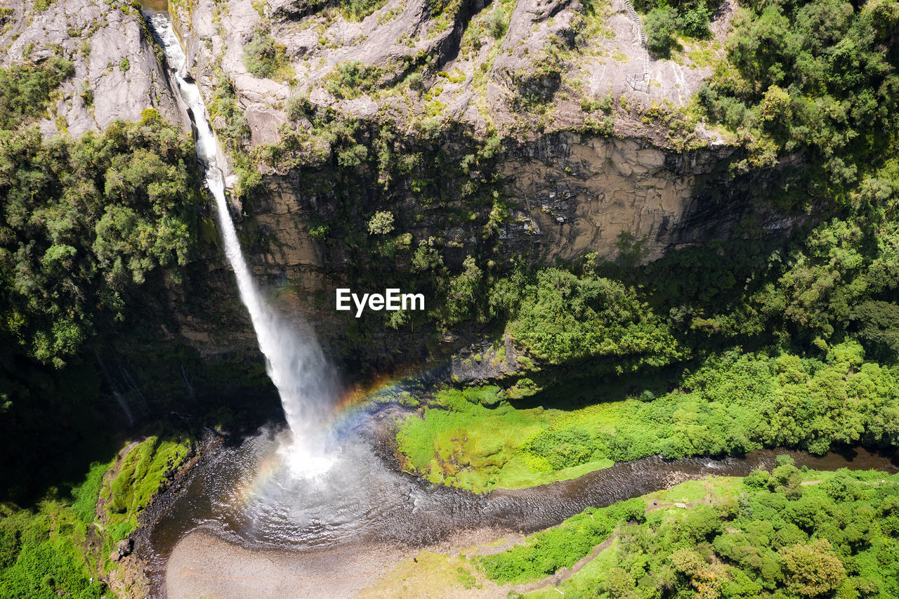 WATERFALL AMIDST TREES IN FOREST