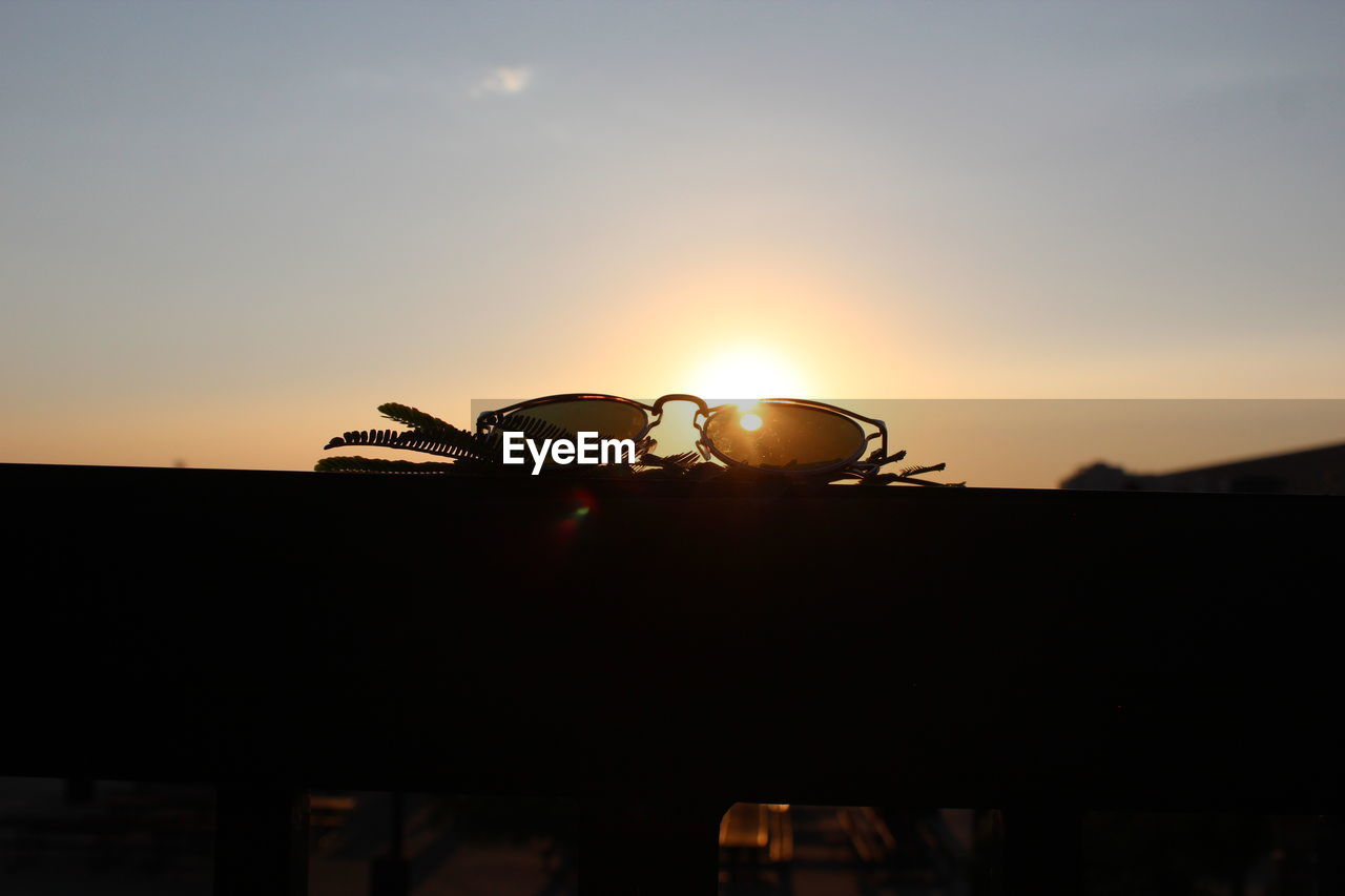 CLOSE-UP OF SILHOUETTE BIRDS AGAINST SUNSET