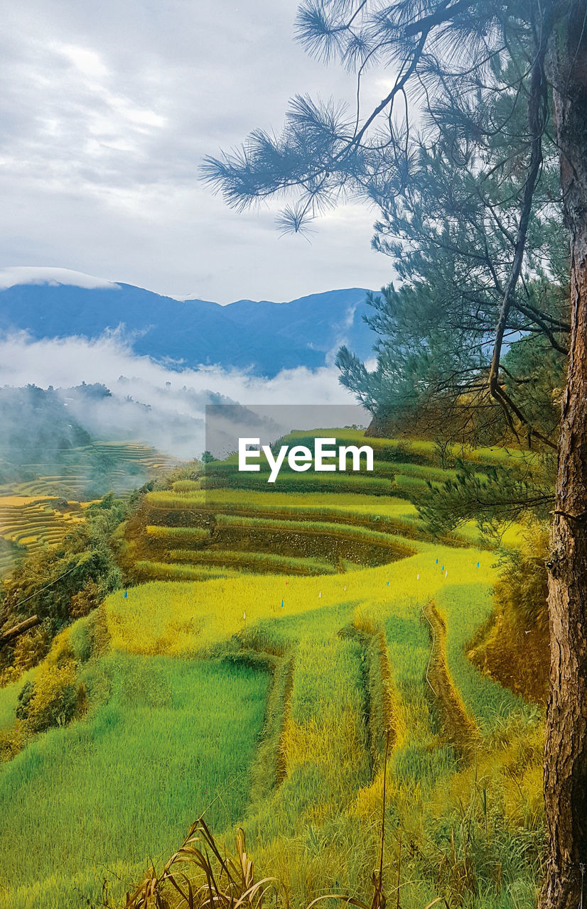 SCENIC VIEW OF FARM AGAINST SKY