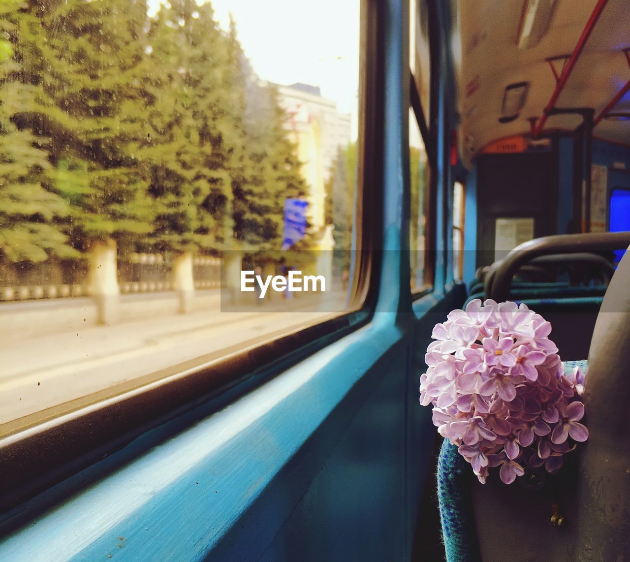 Pink flowers seen through train window