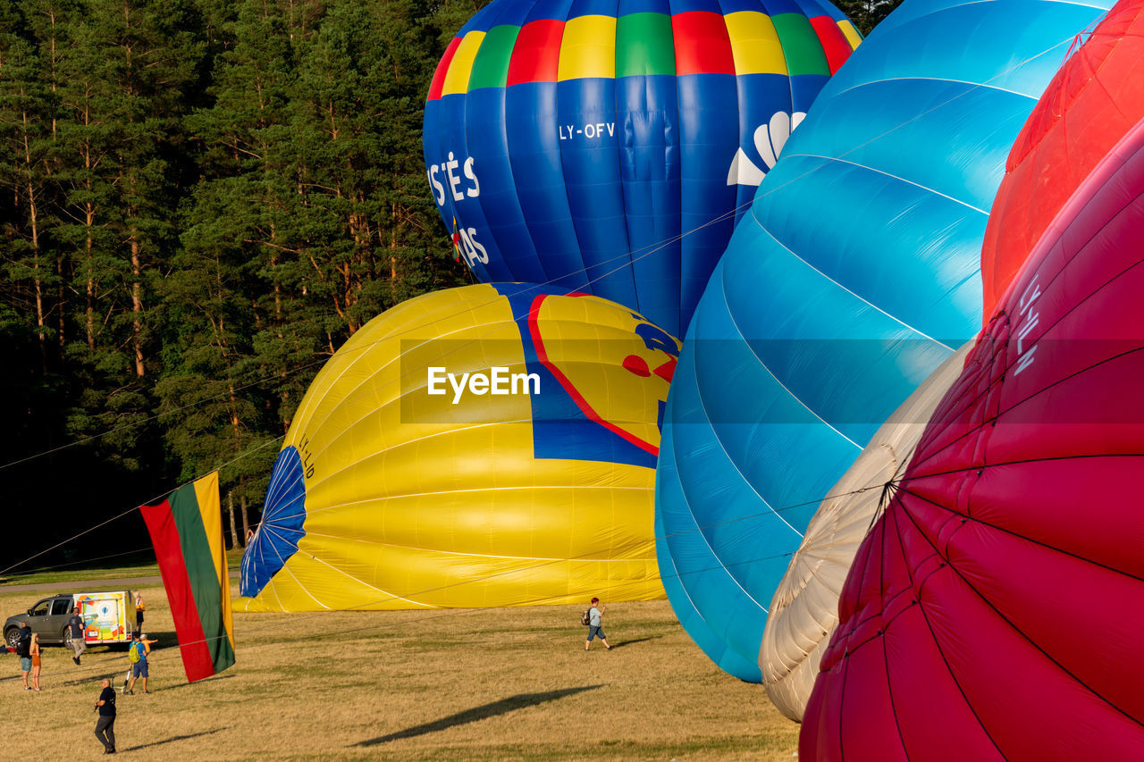 Multi colored hot air balloons, lithuanian flag and a standing person for the scale of the balloons