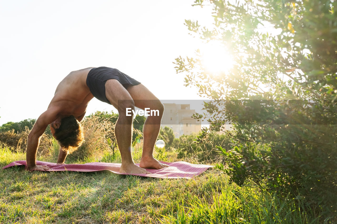 Full body flexible shirtless male doing urdhva dhanurasana pose on lawn near bush during yoga session on sunny summer day in park