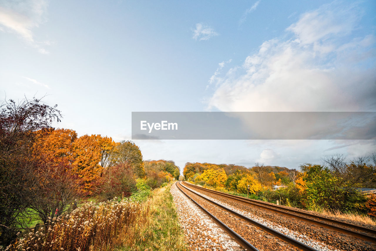 RAILROAD TRACK AMIDST TREES AGAINST SKY