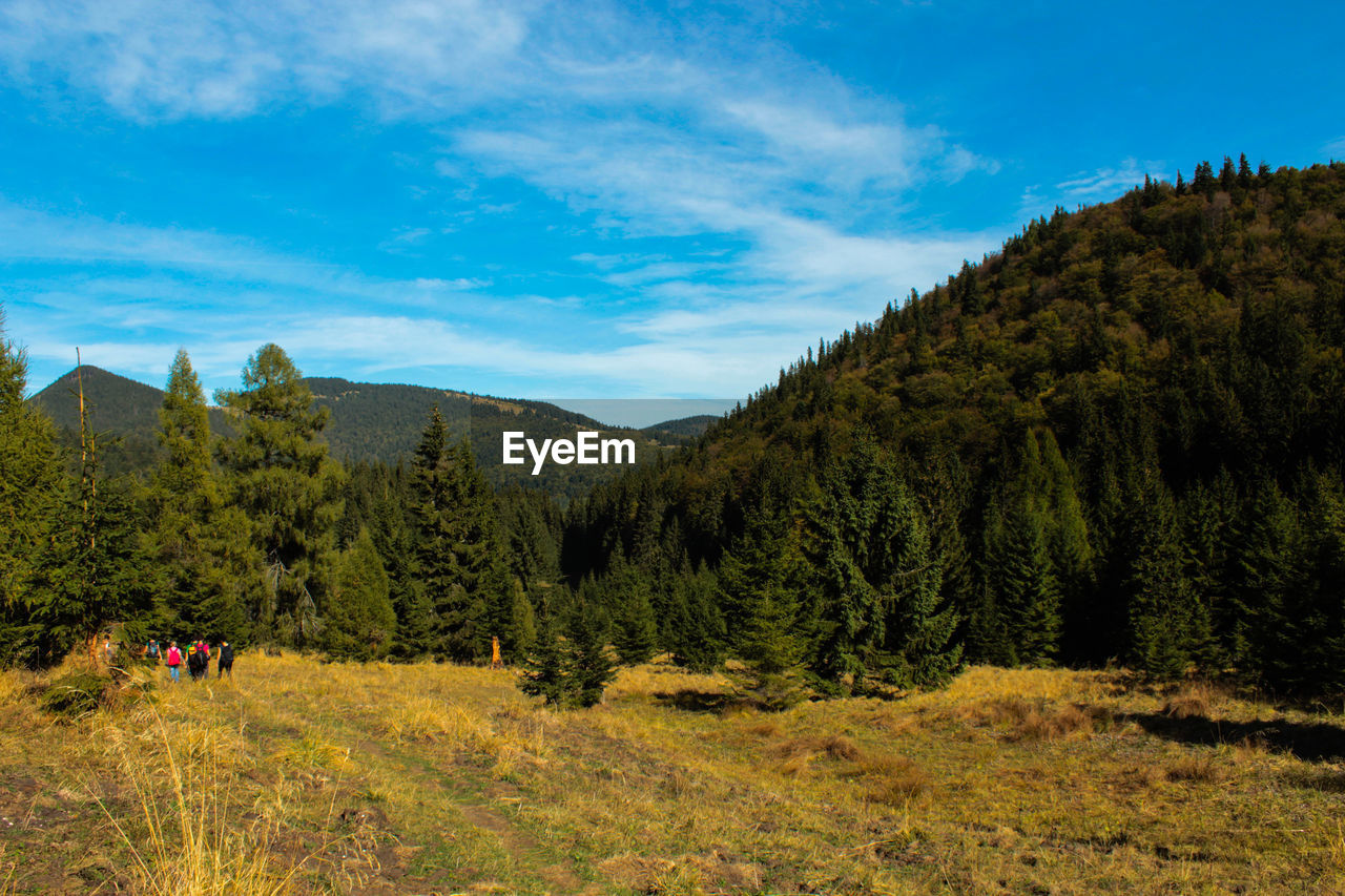 Scenic view of tree mountains against sky