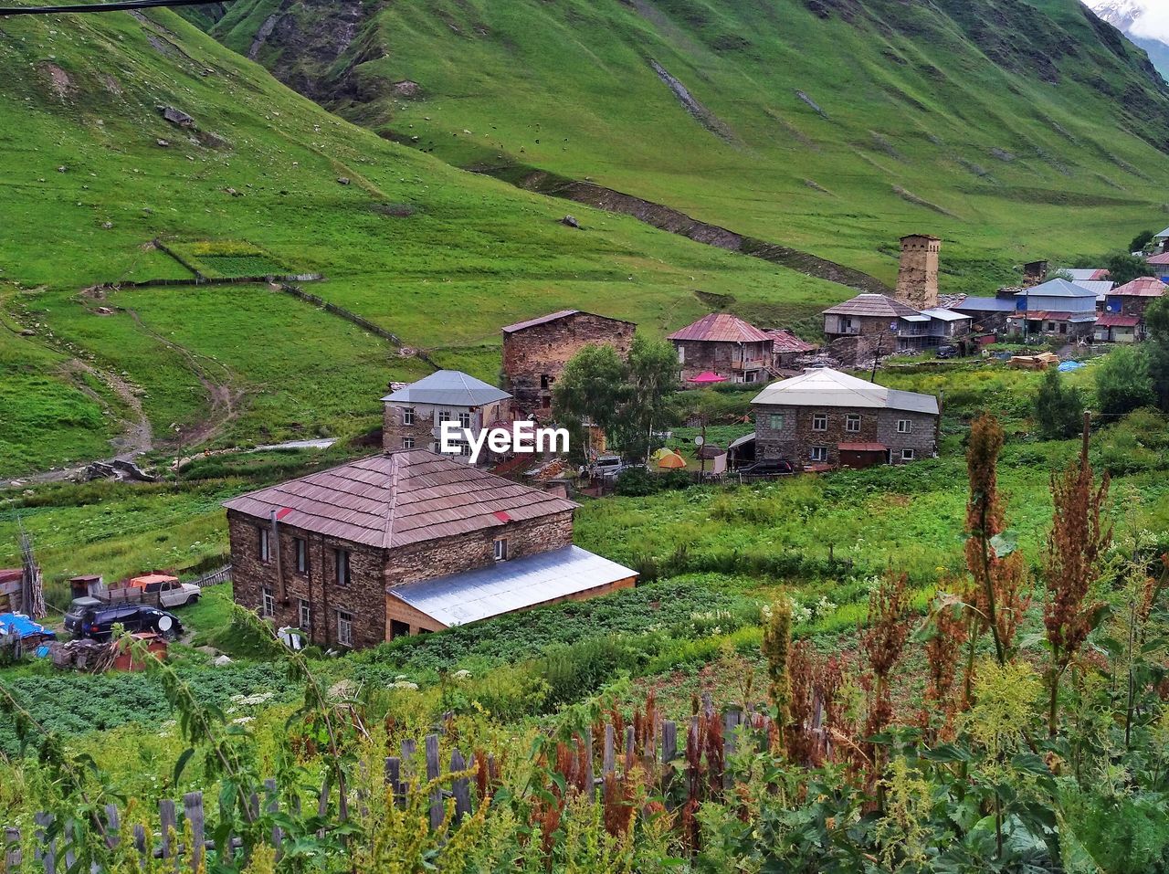 Scenic view of village by houses on field