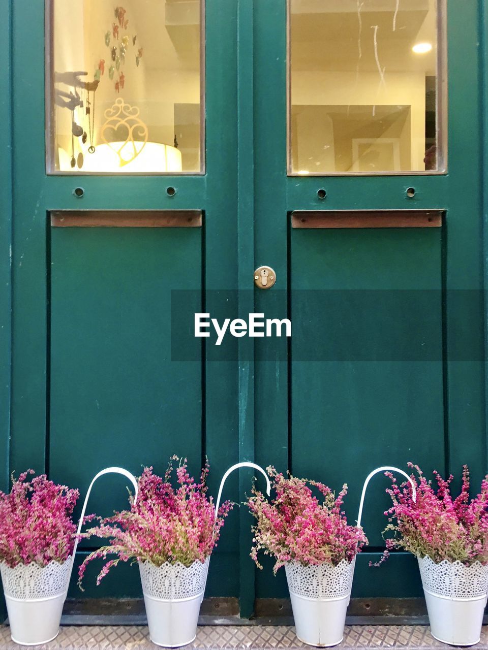 Potted plants on door steps