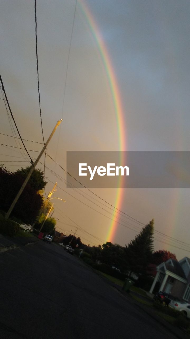 SCENIC VIEW OF RAINBOW OVER TREES AGAINST SKY