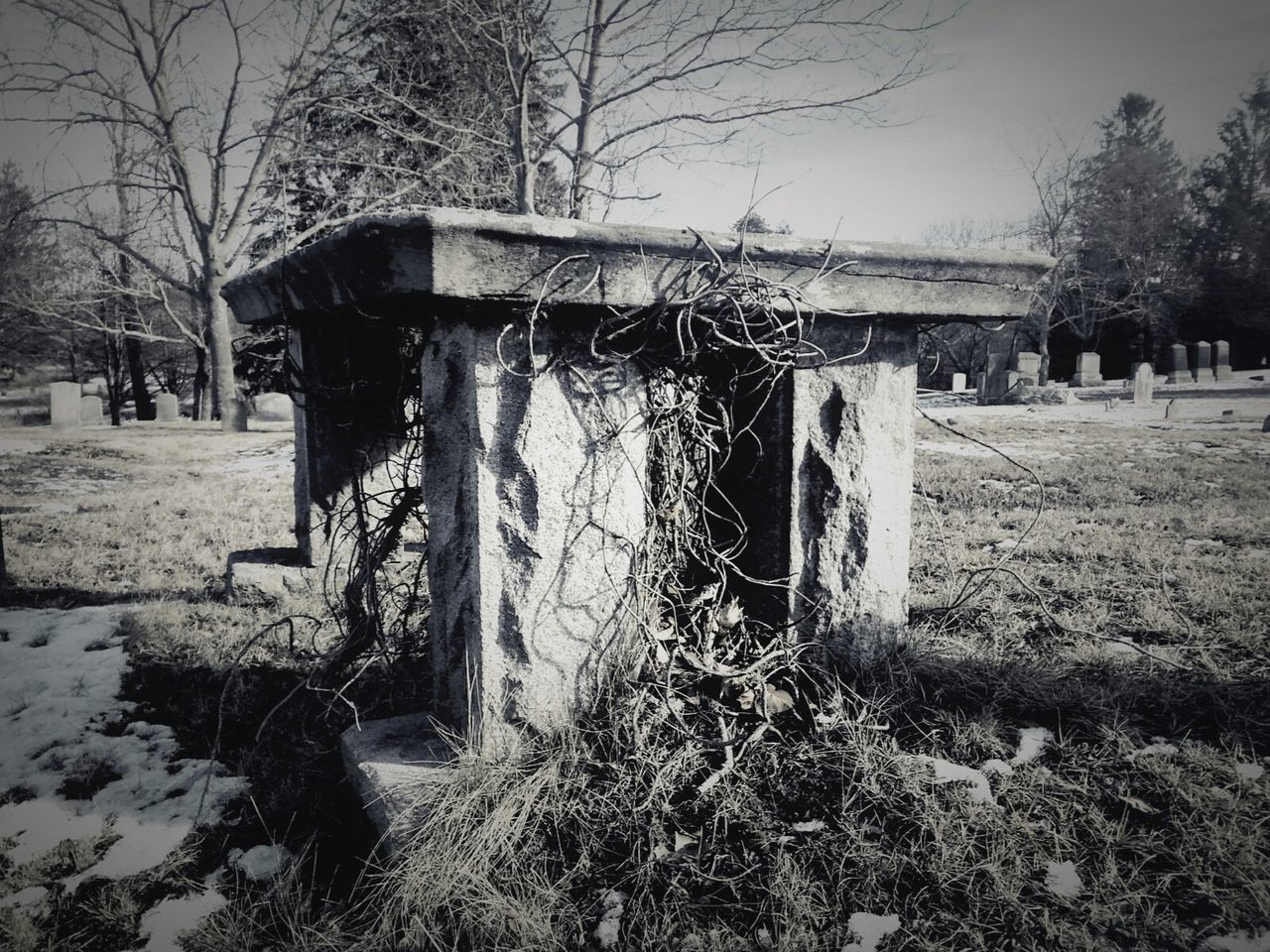 OLD HOUSE ON FIELD