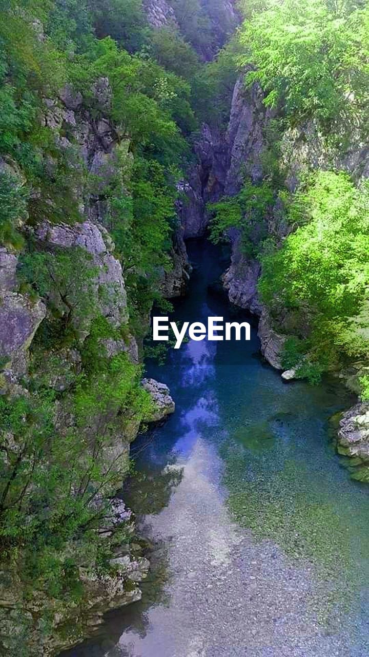 HIGH ANGLE VIEW OF RIVER AMIDST TREES