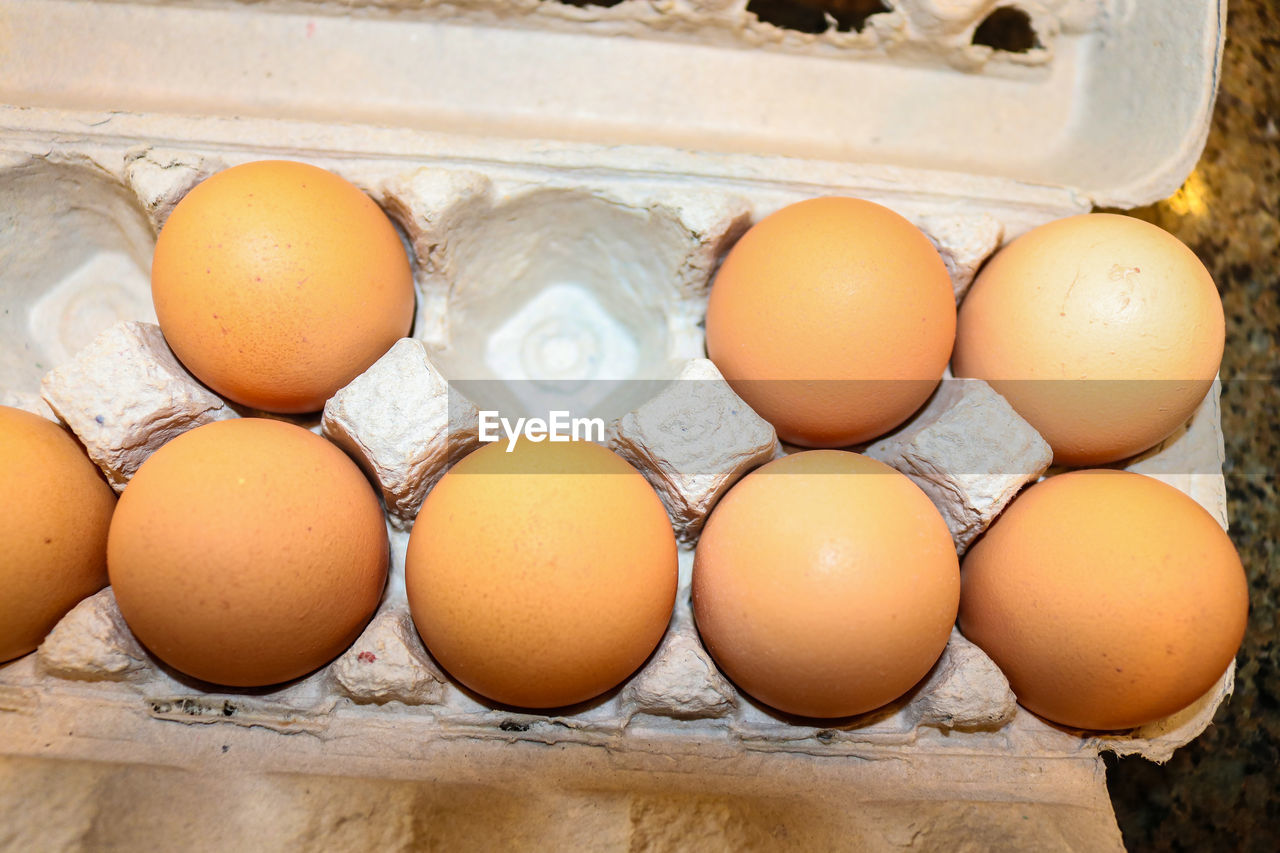 HIGH ANGLE VIEW OF EGGS IN ROW