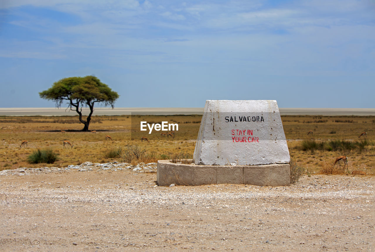 Etosha pan, namibia . 