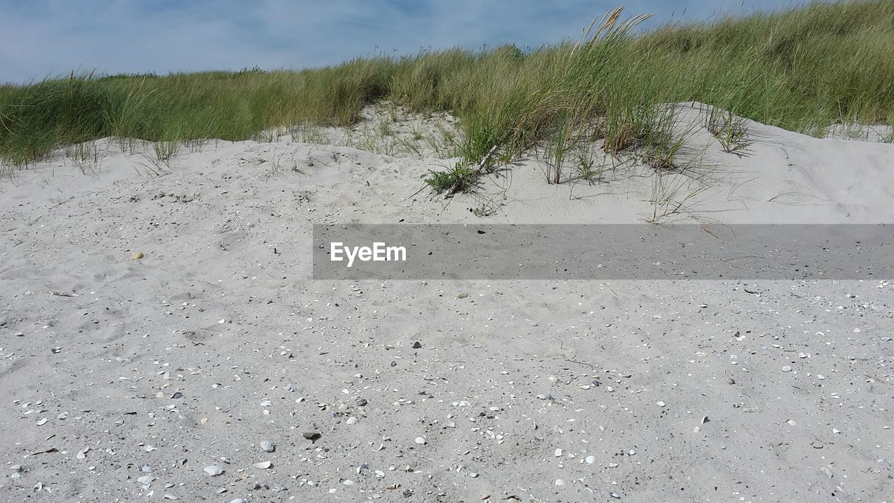 CLOSE-UP OF SNOW ON SAND AT BEACH