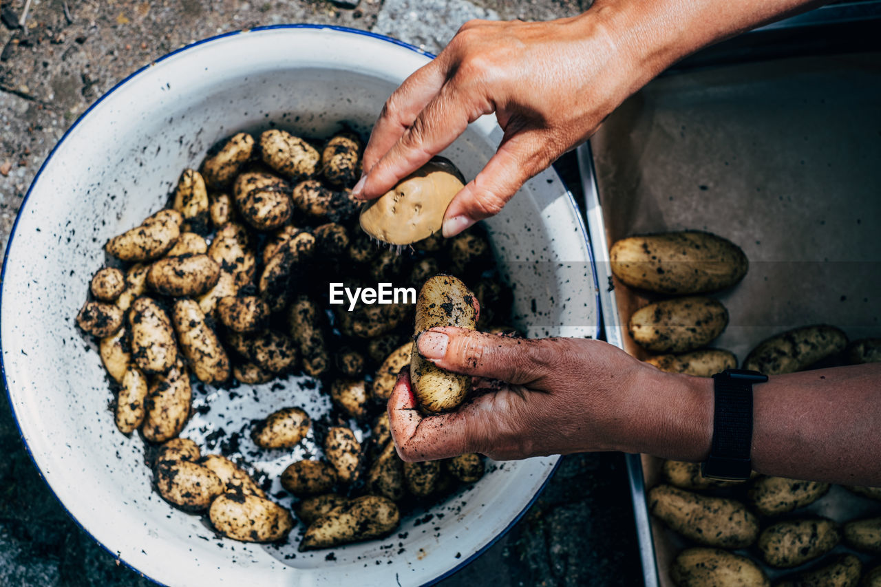 Human hand cleaning fresh potatoes