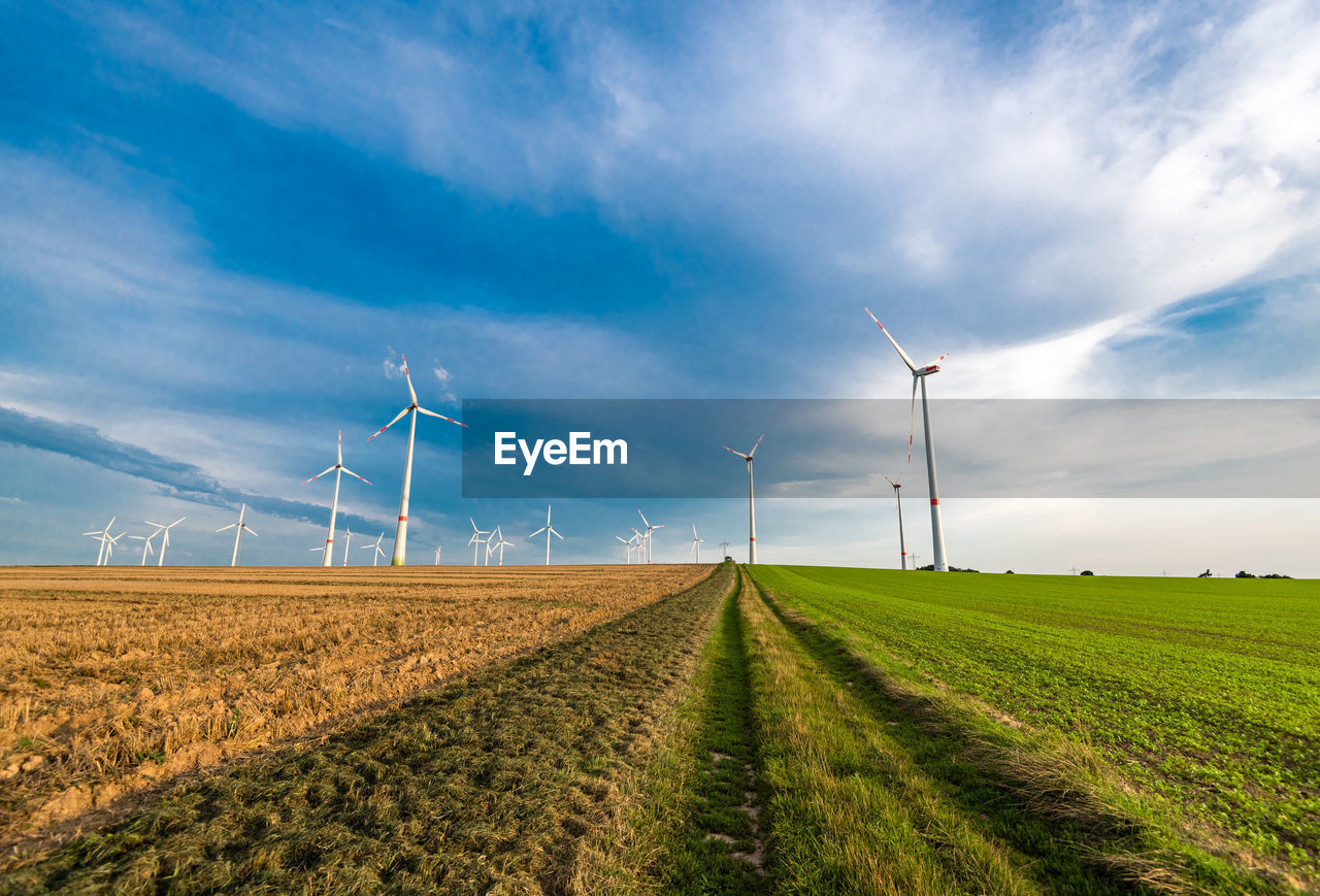 FIELD AGAINST SKY