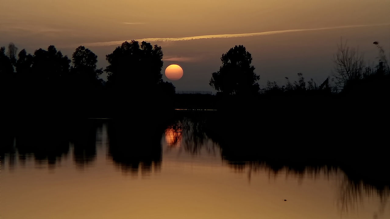 Silhouette trees by lake against sky during sunset