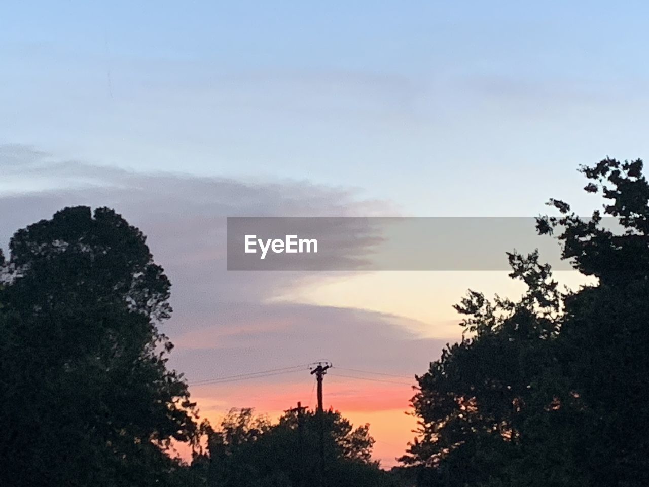 SILHOUETTE TREES AGAINST SKY DURING SUNSET