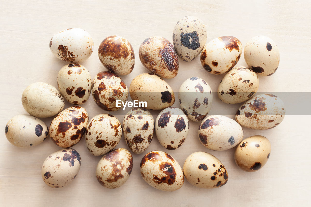 egg, food, food and drink, easter, holiday, no people, animal egg, easter egg, still life, tradition, indoors, celebration, large group of objects, high angle view, group of objects, studio shot, animal, spotted, freshness, close-up, white, directly above, animal themes