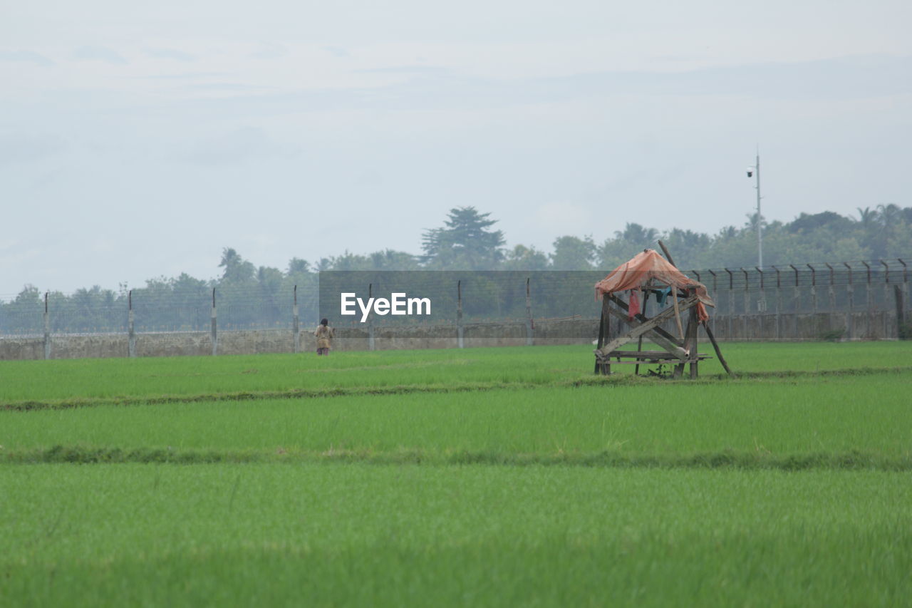 MAN WORKING IN FARM