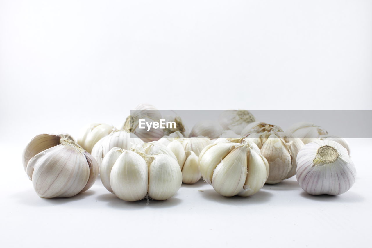 Garlic on a white background