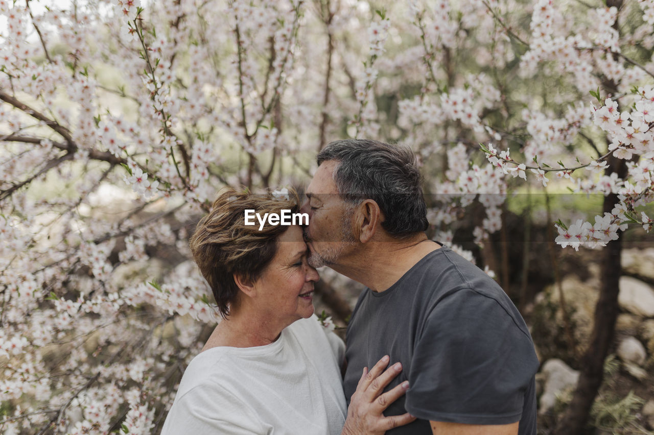 Senior man kissing woman by blossoming tree